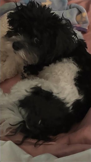 🥰