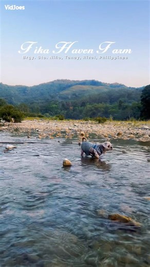 Best Chill Camping Spot in Tanay sa Tabing ilog - a quick escape from manila