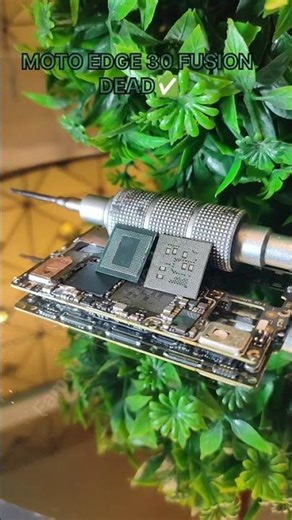 🔥UPCOMING SOLUTION VIDEO |EXPLAIN ESA KI SIDHE DIMAG KE UNDER 🥰✅