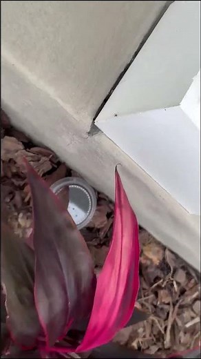 Solar Deck Lights for Garden Steps | No Wiring Needed