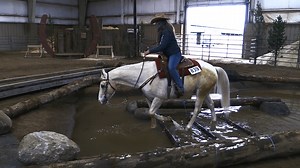 8.6K views · 171 reactions | Did you show at the Ranch Horse Mountain Trail Series 2 this last weekend? Check out this awesome video our Videographer got! We are really trying to work on our live feed so if you love seeing it please let us know! We love to hear your feedback! Have pointers/ideas? please share them!! We look for forward to seeing you again in April! #videographer #oregonhorsecenter #mountaintrail | Oregon Horse Center | Facebook