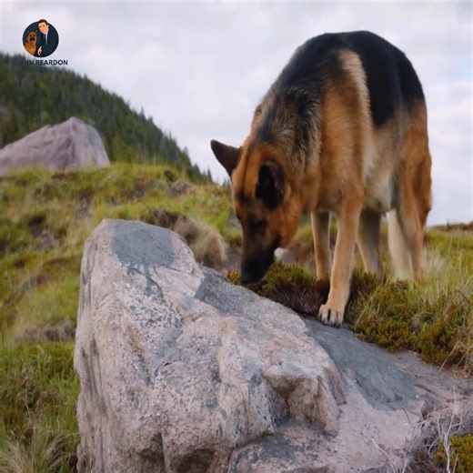 119K views · 3.8K reactions | When two hikers are discovered murdered near a remote coastal trail, the team is on the hunt for a fugitive duo wanted in a series of grisly campsite murders | Adan Maxwell | Facebook