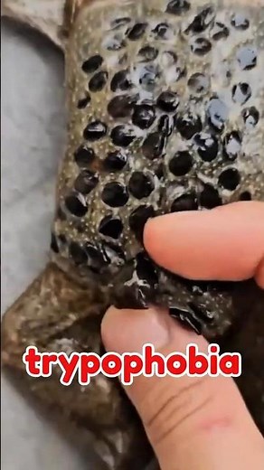 Trypophobia Test: Can you watch 10 seconds? 😰