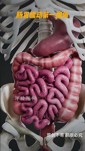 3D动画解析食物在肠胃的消化 #3d #anatomy #science#动画