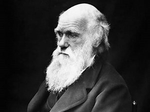 Darwin's Stance on Christianity? A Damnable Doctrine