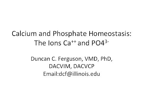 Calcium Physiology: Ions Ca++ and Phosphate