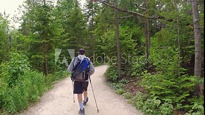 Hiker with backpack and photo gear walking at hiking trail in fir tree green summer forest at sunny day. Bruce Peninsula National Park, Ontario, Canada.