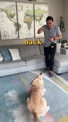 Teaching Your Dog to Go Through Doors: Step-by-Step Guide