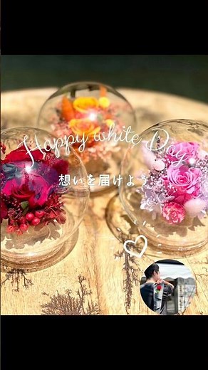 バラの色の意味🌹ホワイトデー前に知りたい花言葉