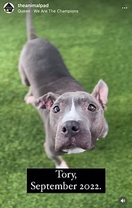 3.9M views · 314K reactions | Take the *we* in this song and insert...