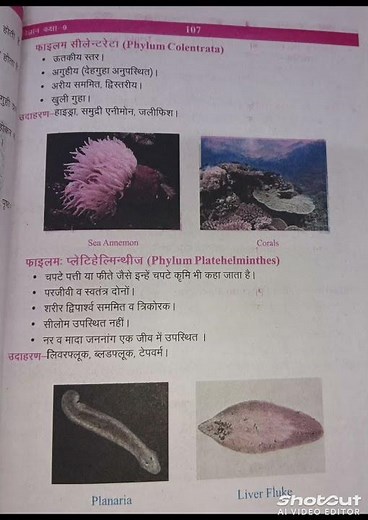 Class-9th Science Chapter-7 jivo mein vividhta support material Notes with practice question