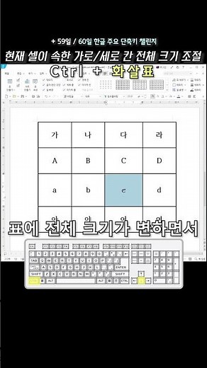 아침에 한글 하나 +59일 | 현재 셀이 속한 가로 세로 칸 전체 크기 조절 (Ctrl+화살표) | 한글 단축키 60개 외우기 챌린지