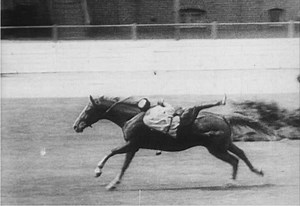 Circassian dzhigits demonstrate their riding skills in Sydney, Australia, 1936. Original footage available from Framepool: http://footage.framepool.com/en/search/cherkessia/ Circassian horse-born warriors (шууей [shuwey], in Circassian; джигит [dzhigit], in Russian) have always been famous for their immaculate equestrian skills. According to tradition, horsemanship reached its heyday in the time of the legendary Narts. It was developed into a magnificent institution with special rules and codes.