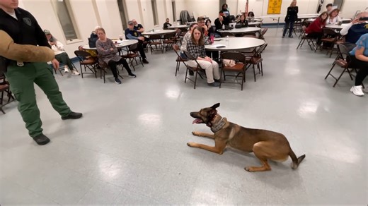 VIDEO: Gloucester Township Police K-9 Ace, along with his partner Ptl. Mike Przeworski and assistant Ptl. Jim Bartleson, demonstrations his amazing abilities at the Citizens Police Academy on March 14, 2024! Learn more about our annual Gloucester Township Police Citizens Police Academy here! https://gtpolice.com/community-page/198 Read more about careers at Gloucester Township Police here!: https://gtpolice.com/recruiting | Gloucester Township Police