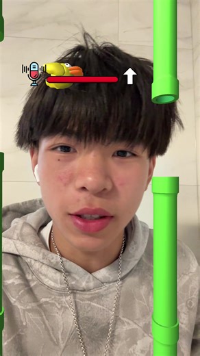 #flappybird #fyp #funny | flappy bird filter