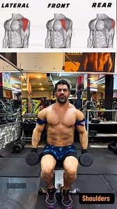 Seated shoulders exercises target all the 3 heads of shoulders.#gym #shoulders #shoulderworkout #bodybuilding #muscle #fitness | Bodyfitness GYM