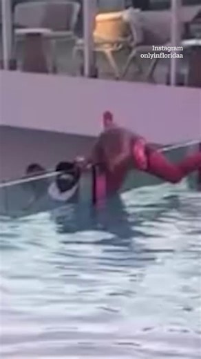 3.5K views | Passenger topples over edge of infinity pool on cruise ship | The US Sun | Facebook