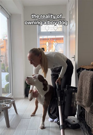 reality 😆🥹🤍 #xlbully #bestfriend #doglife #dogmom #family | dogs