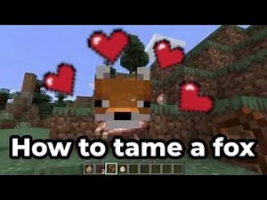 How to tame foxes in Minecraft