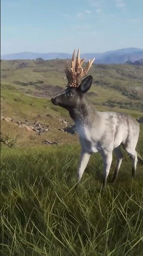 Every Great One Roe Deer! Call of the wild #shorts