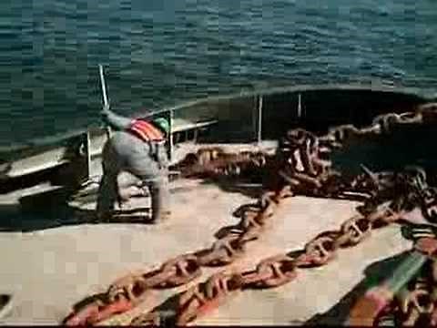 Surge Chain