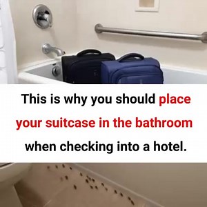 You Should Place Your Luggage in the Bathroom Right After Checking into a Hotel Room👇🏻 | Family Code