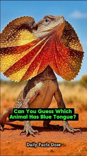Can You Guess Which Animal Has a Blue Tongue? 👅🦎 #shorts #facts #knowledgeocean
