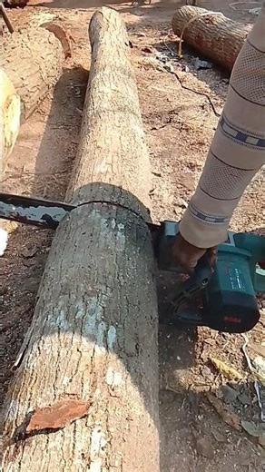 Cutting Wood with Electric Saw | Professional Woodworking Process
