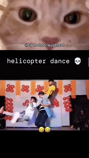 Try Not To Laugh: Hilarious Cat Moments 78 😹