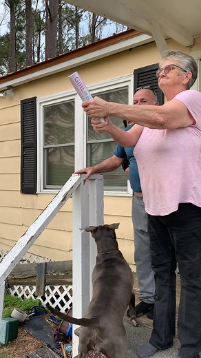 Brittany Miller on TikTok