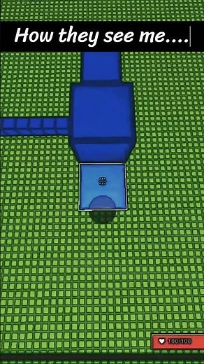 POV: You play Bloxd but your true class is Programmer