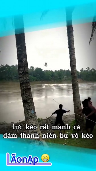 Cả làng cùng lôi mới được 😱 #laonap