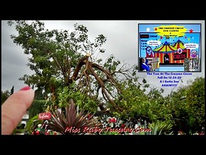 Miss Ruby Tuesday- Crosnoe Circus Tree Fell And I Gotta Sue AGAIN!
