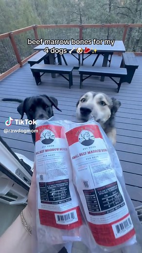 Beef Marrow Bones: Perfect Treats for Dogs