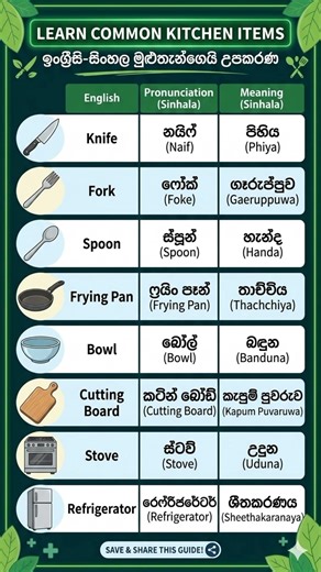 Kitchen Items English + Sinhala 🥄 | Easy English Vocabulary for Beginners #vocabulary #english