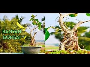 How to make Banyan Bonsai || Ficus Benghalensis ||