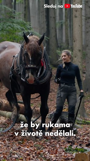 Odmalička ji bral taťka do lesa, kde ji zasvěcoval do tajů specifické profese – přibližování dřeva. Dřevo se natěží a je potřeba ho z porostů vytahat. 🪵 Existuje k tomu několik technik a práce s koněm je k lesu nejšetrnější. 📱 Nezvyklý pohled na mladou dívku v těžkých strojích budí pozornost na sociálních sítích. Díky nim se @zuza.navratilova přestala stydět. „Dodalo mi to sebevědomí. Dřív jsem nedokázala mluvit s lidma a vyjadřovat se.“ ➡️ Pusťte si celou reportáž z Podhoubí také na YouTube R