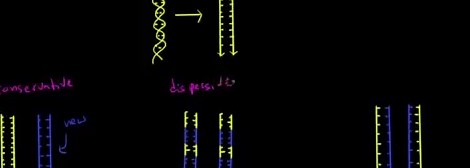 Semi-conservative replication