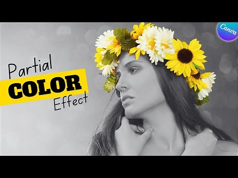Make Your Photos LOOK BETTER With Canva's Partial Color Photos Effect