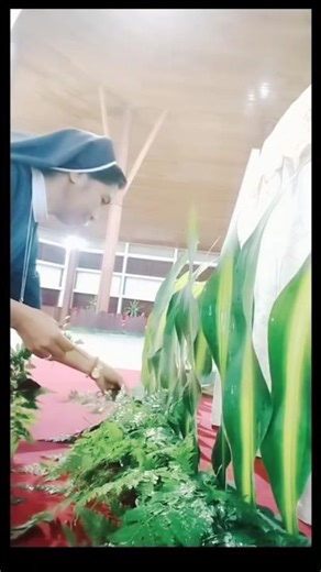 Merangkai bunga depan Altar #dekorasialtar #bunga #flowerarrangement #tanamanhias #flowers