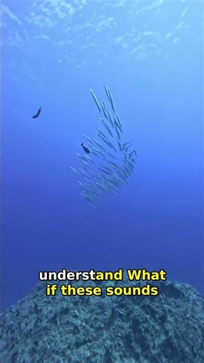 Discover the Ocean's Mysterious Sounds: Secrets Revealed!