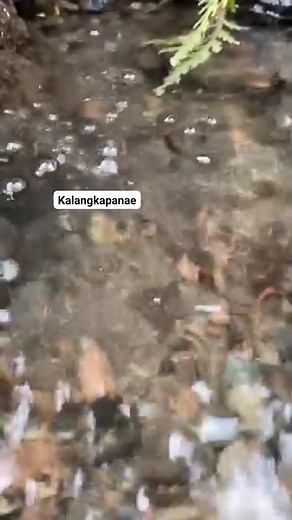 Kalangkapang ko shung sa butig | Abdul Barie Ben Hadjihassan