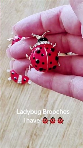 Brooches in my LADYBUG COLLECTION 🐞 #shorts #shortvideo #shortsfeed #shorts #collection #ladybug