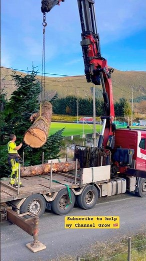 Pickup of Milling Logs #shorts #milling #chainsaw