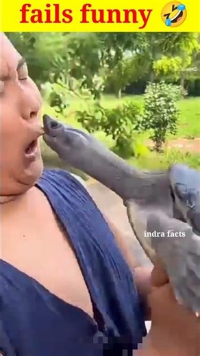 The end 😂😂😂#viral#funny#comedy#funnyvideos#funnyclips#fails#