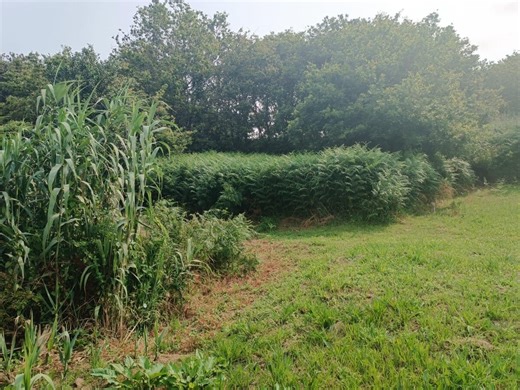 Camiño San Xurxo, 36392 Vigo - Land for Sale | LoopNet