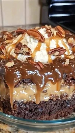 TURTLE CAKE - A Recipe You Can’t Miss 🤩 Ingredients: 1 cup chocolate chips 2 cups pecans 1/2 cup evaporated milk 1 (14 ounce) bags caramels… 🌰 Recipe in top (c.o.m.m.e.n.t ). 👇👇 | Easy Recipes