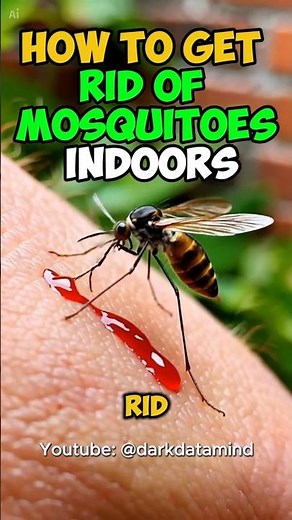 How to Get Rid of Mosquitoes Indoors #mosquitocontrol #hometips #pestcontrol #mosquitofreehome