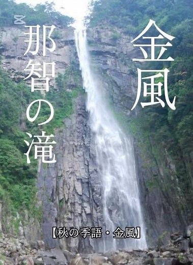【秋の季語・金風】#プレバト俳句 #清水麻椰 #秋の俳句 #秋の季語 #凡人 #shorts