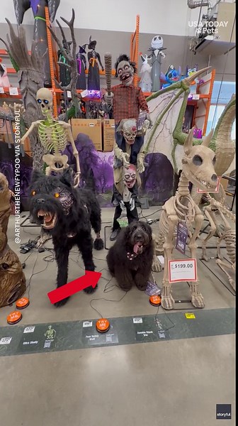 This Halloween costume is just too good!